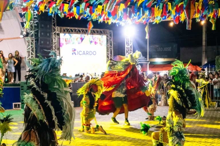 O boi dança cercado pelos brincantes do Boi do Favela durante a apresentação noturna