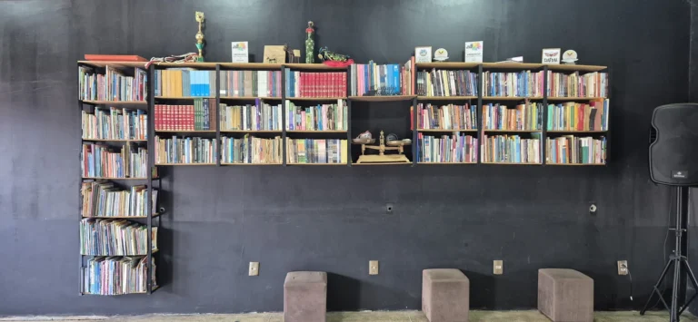 Estantes da Biblioteca Comunitária Maria Firmina dos Reis, da CIATDAL, cheias de livros